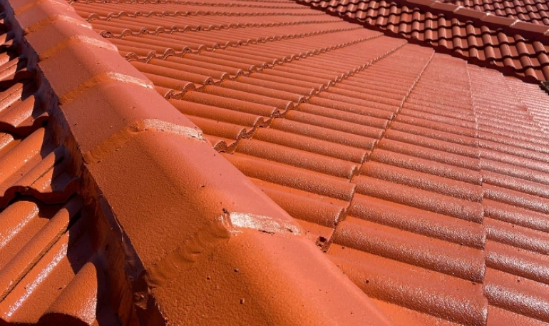 Roof Painting Services